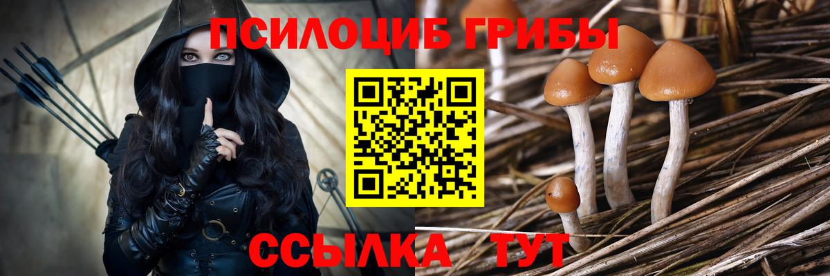 Псилоцибиновые грибы прущие грибы  Вход с VPN  Выкса 